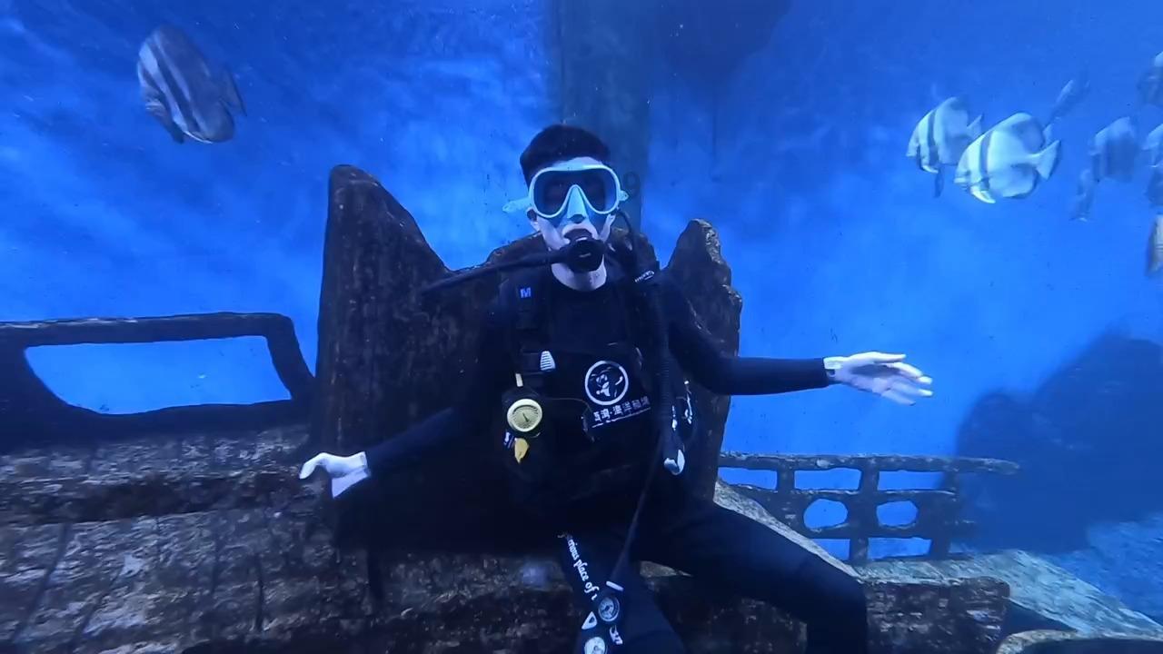 夏日骑行